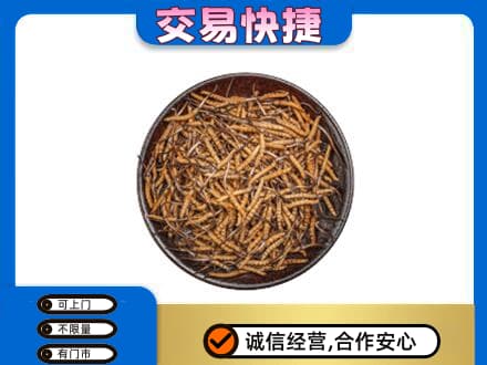 阳谷县高价回收散虫草