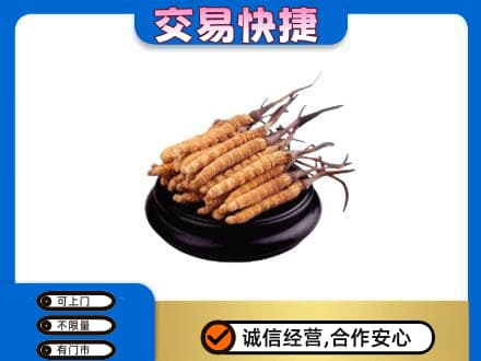 阳谷县回收冬虫夏草多少钱每克